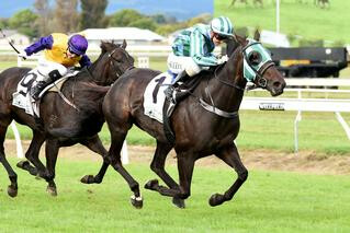 Another Stakes Win For Maybe Miami (NZ). Photo: Race Images, Palmerston North.